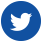 Twitter icon button